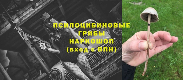 шишки Богородск