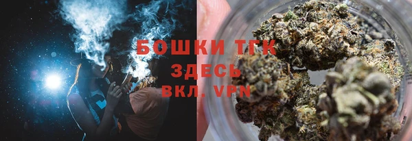 шишки Богородск