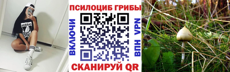 Псилоцибиновые грибы Magic Shrooms  Дигора 
